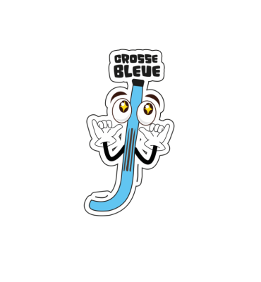 Pin's Bleu - crosse (Lot de...